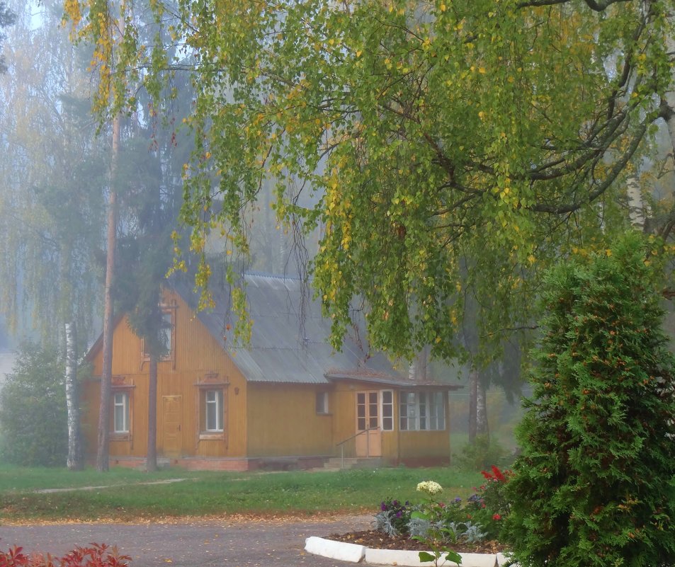 домик в тумане - Валентина. .