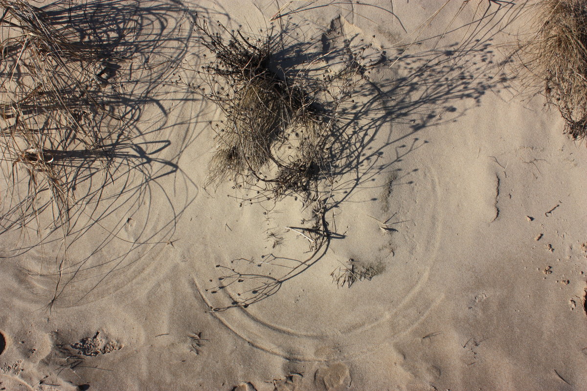 Ветер на песке - Gennadiy Karasev