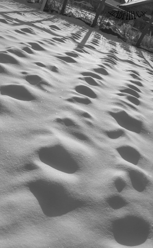 Геометрия первого снега - Сергей Шаврин