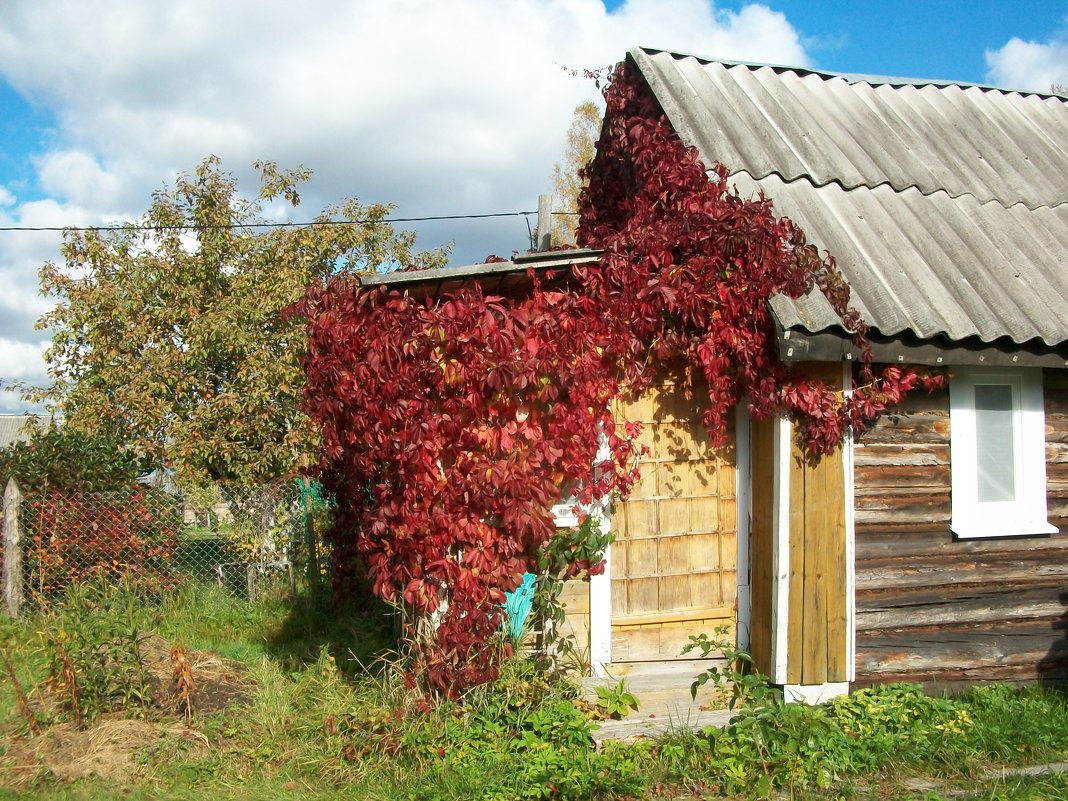 ДОМИК В ДЕРЕВНЕ - Виктор Елисеев