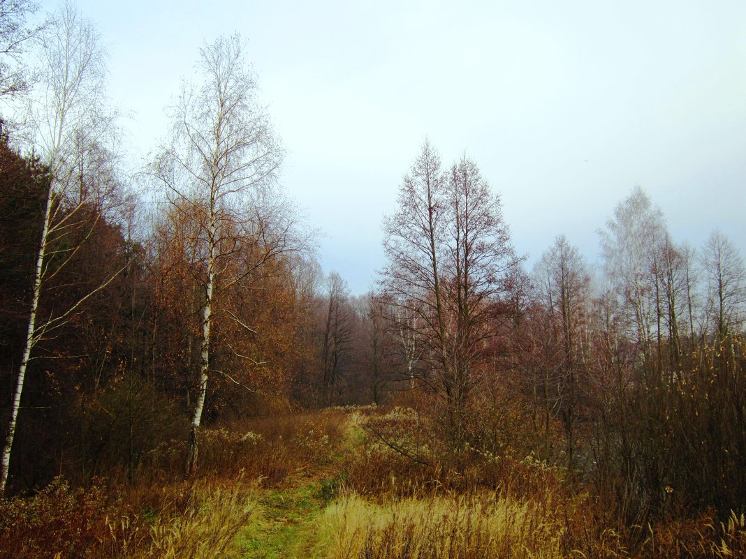 Осенняя тишина - Андрей Снегерёв