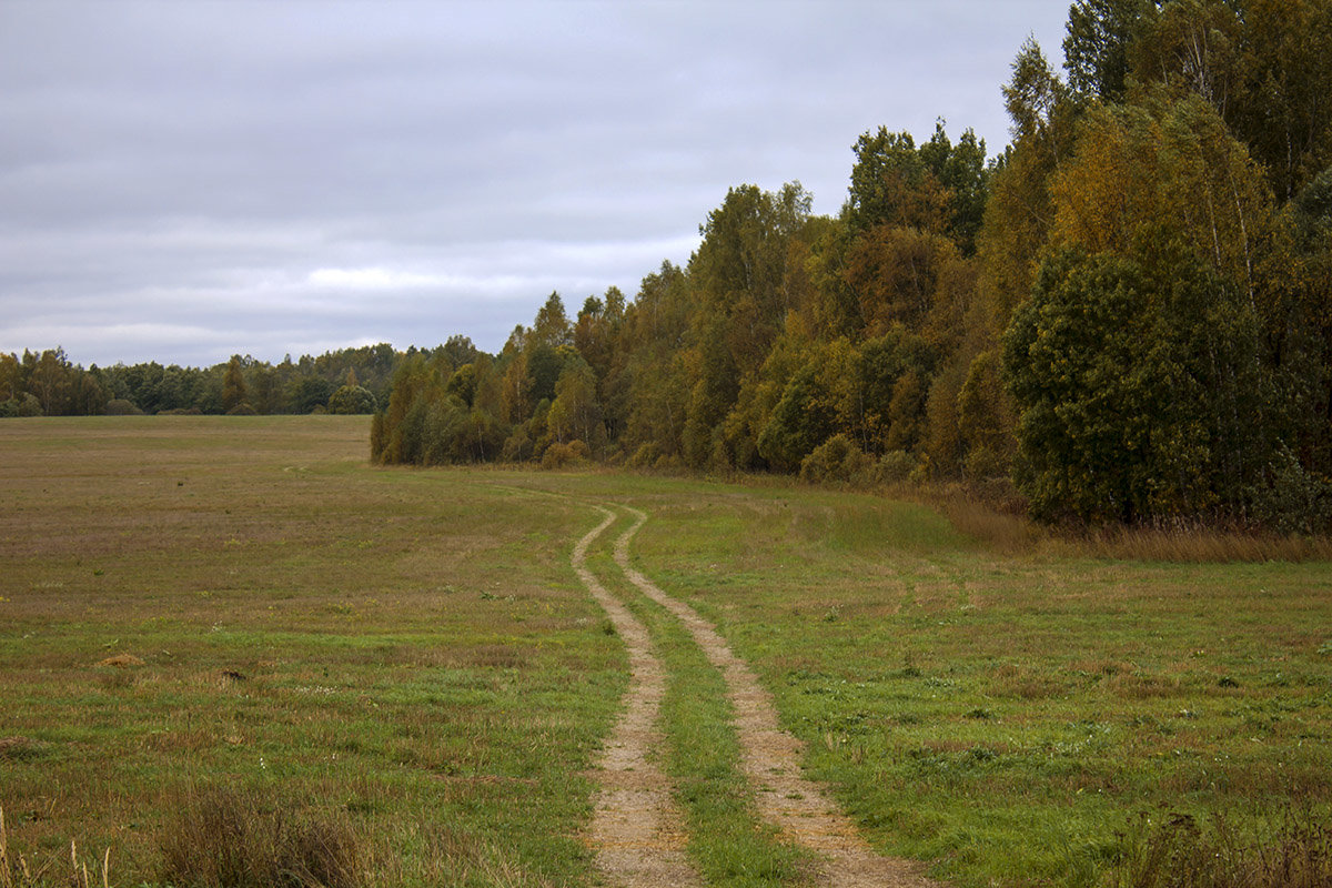 *** - Александр 