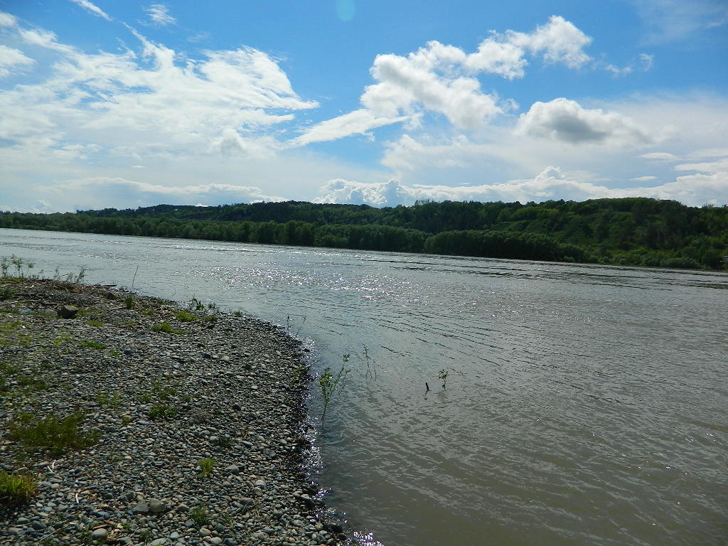 Река обь-город барнаул - максим 
