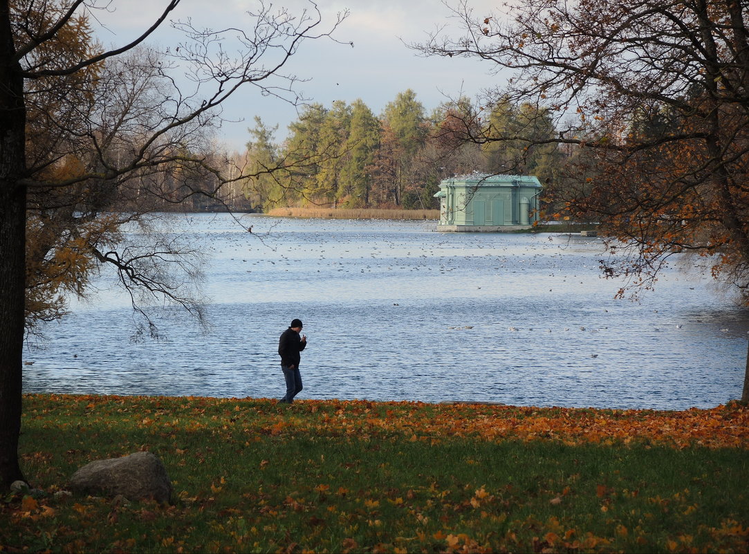 пейзаж с озером и павильоном - sv.kaschuk 