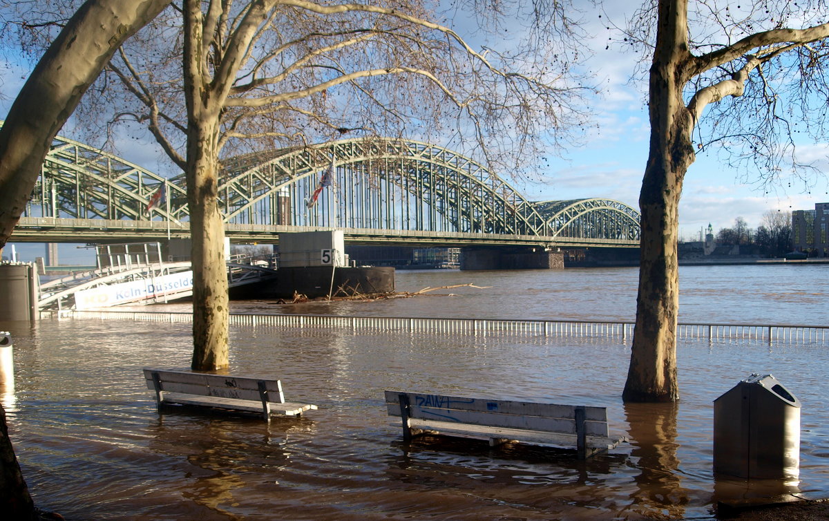 Hochwasser 2011 - Alexander Andronik