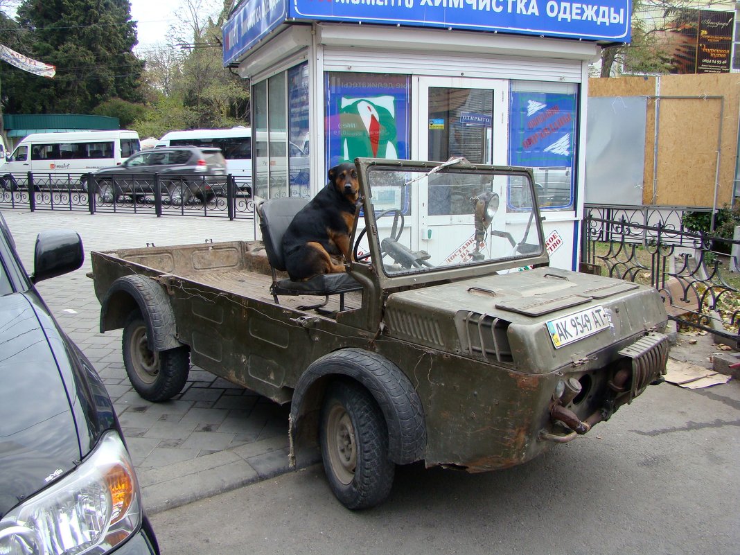 Сигнализация не нужна... - Александр С