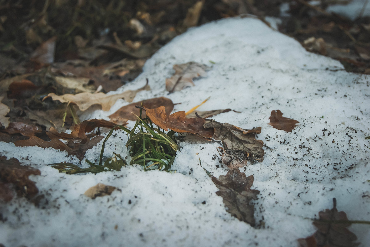 Уже снег лежит - Света Кондрашова