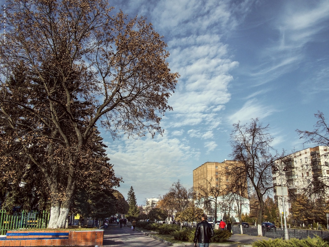 Прогулка по Курску - лиана алексеева