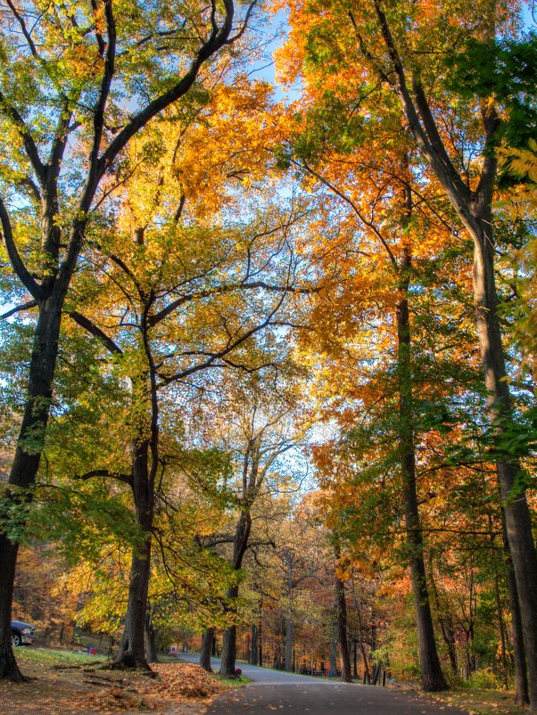 Осень в Tibets Park, Yonkers, NY - Vadim Raskin
