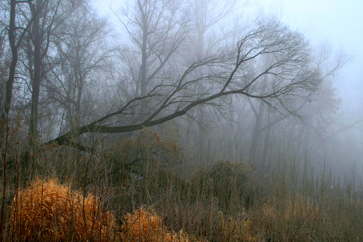 Осень скрылась под сенью тумана... - Евгений Юрков