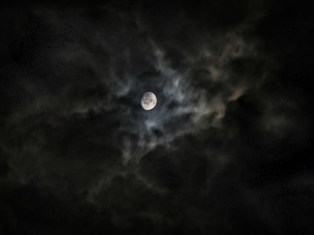 Ночная луна - Дарья Подолянець