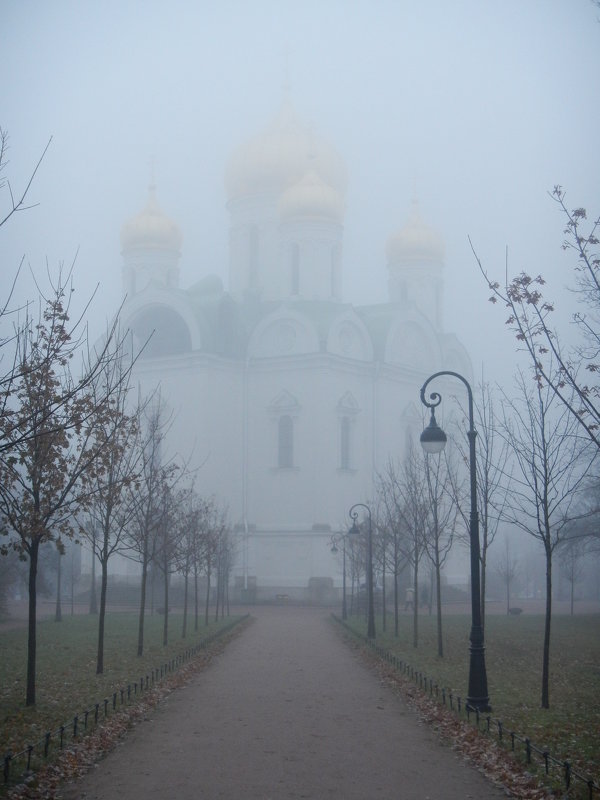 Туманный Пушкин - Дмитрий Ромашев