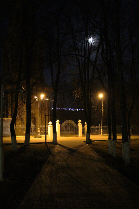Night - Anastasia Kulichenko