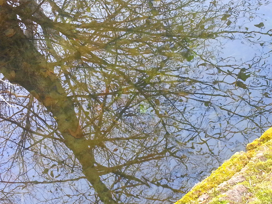 отражение в воде - Marina 