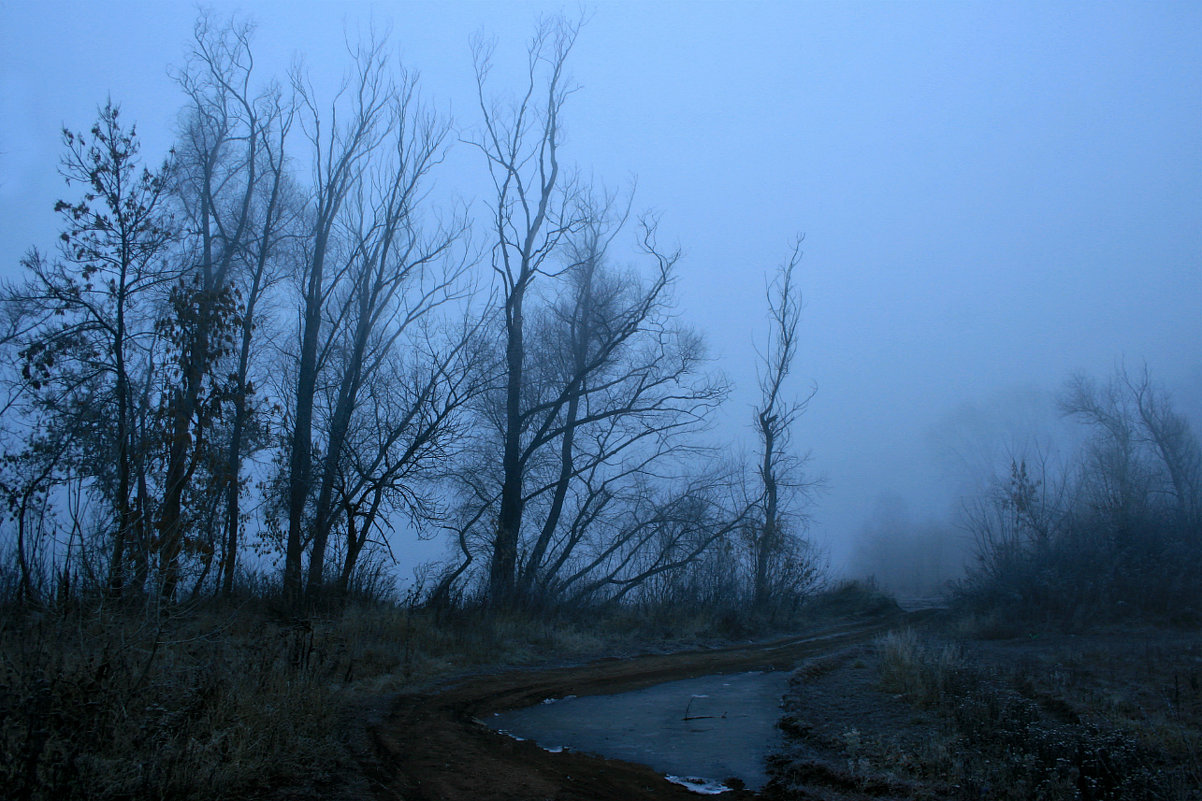 Легкой дымкой осенний туман затушует за речкой пейзажи... - Евгений Юрков