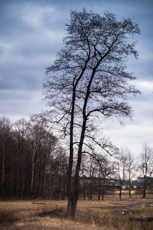 * - Сергей Куликов