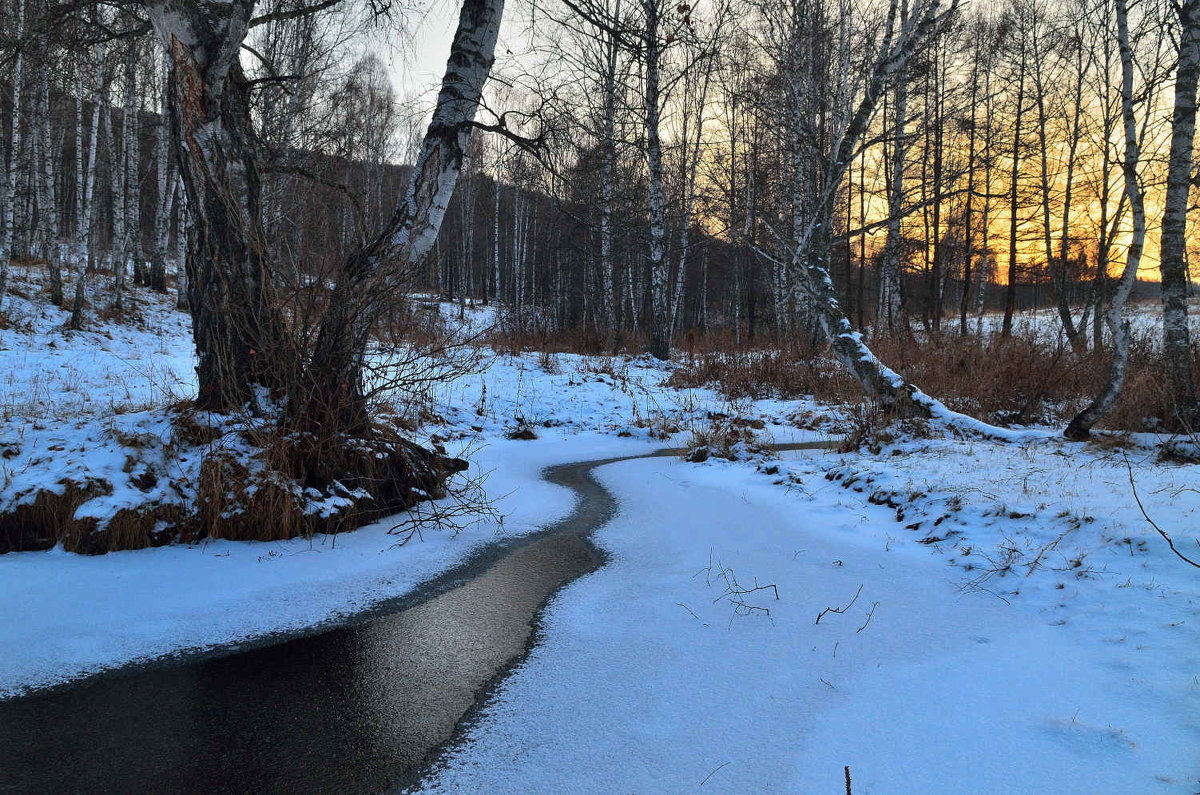 Морозит - Николай Привалов