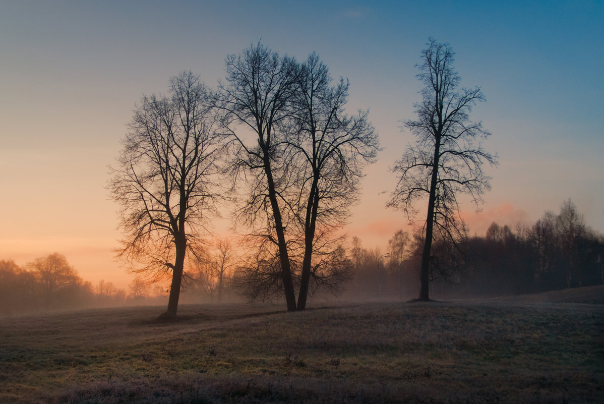 Good morning - Юлия Савина