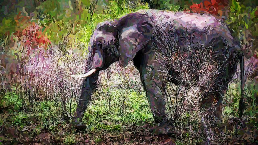 Весенний слон в буше - Alexei Kopeliovich