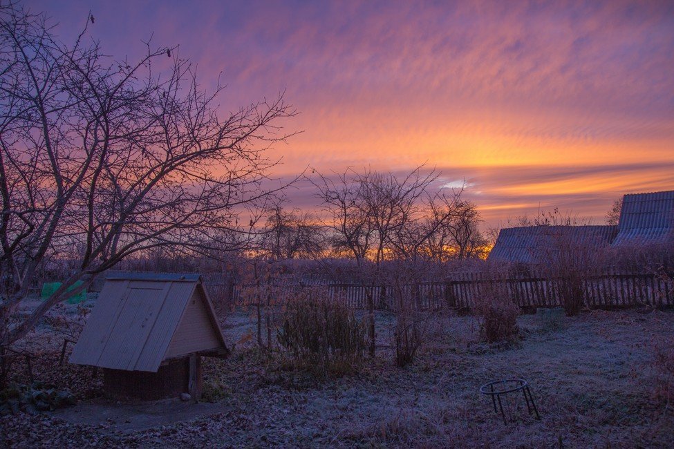 my pretty morning - Алина Максимова