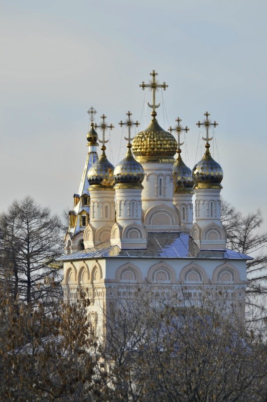 Храм Бориса и Глеба в Рязани - Сергей Жданов