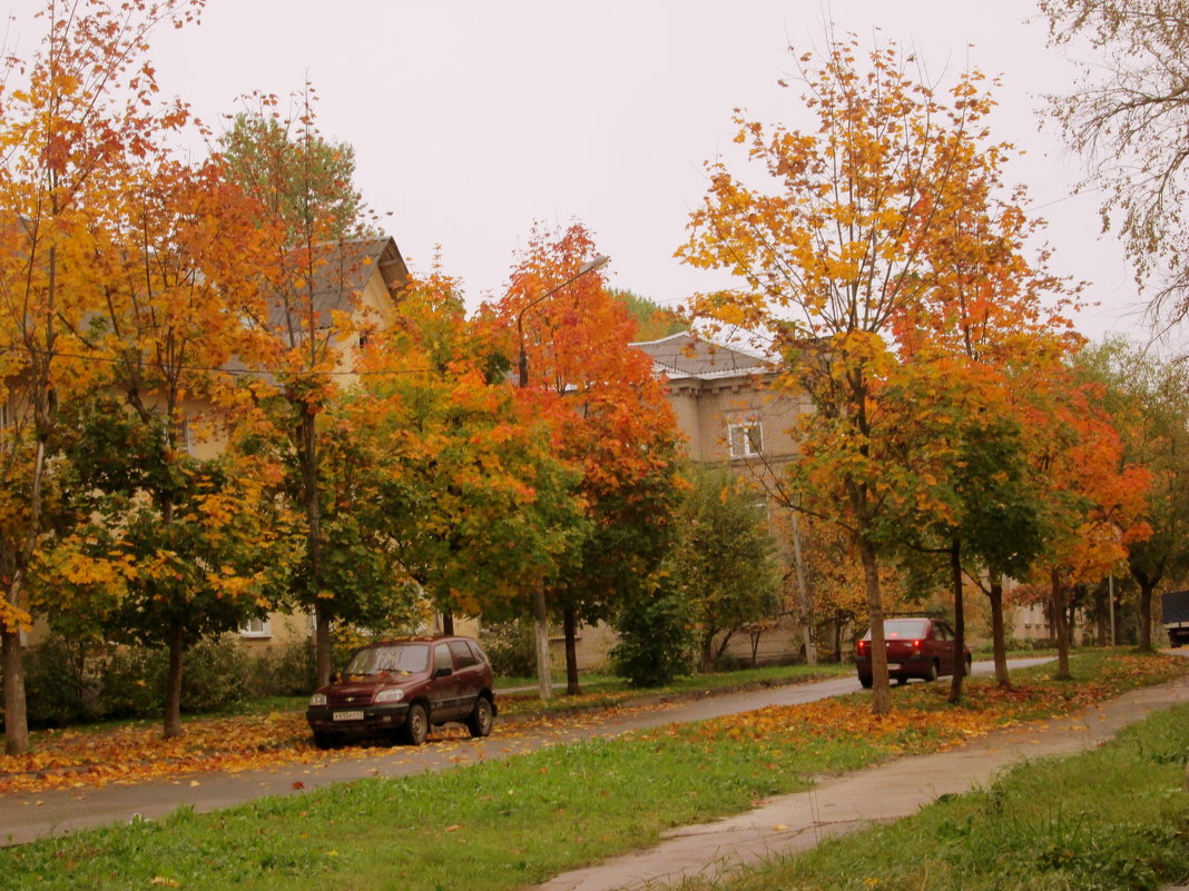 Осень в городе - Томчик Подольская