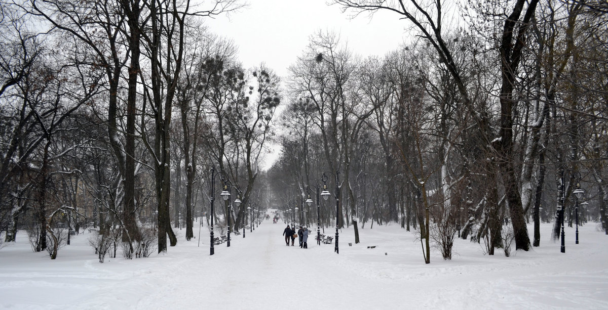 Парк имени Ивана Франка - Никита Мяу