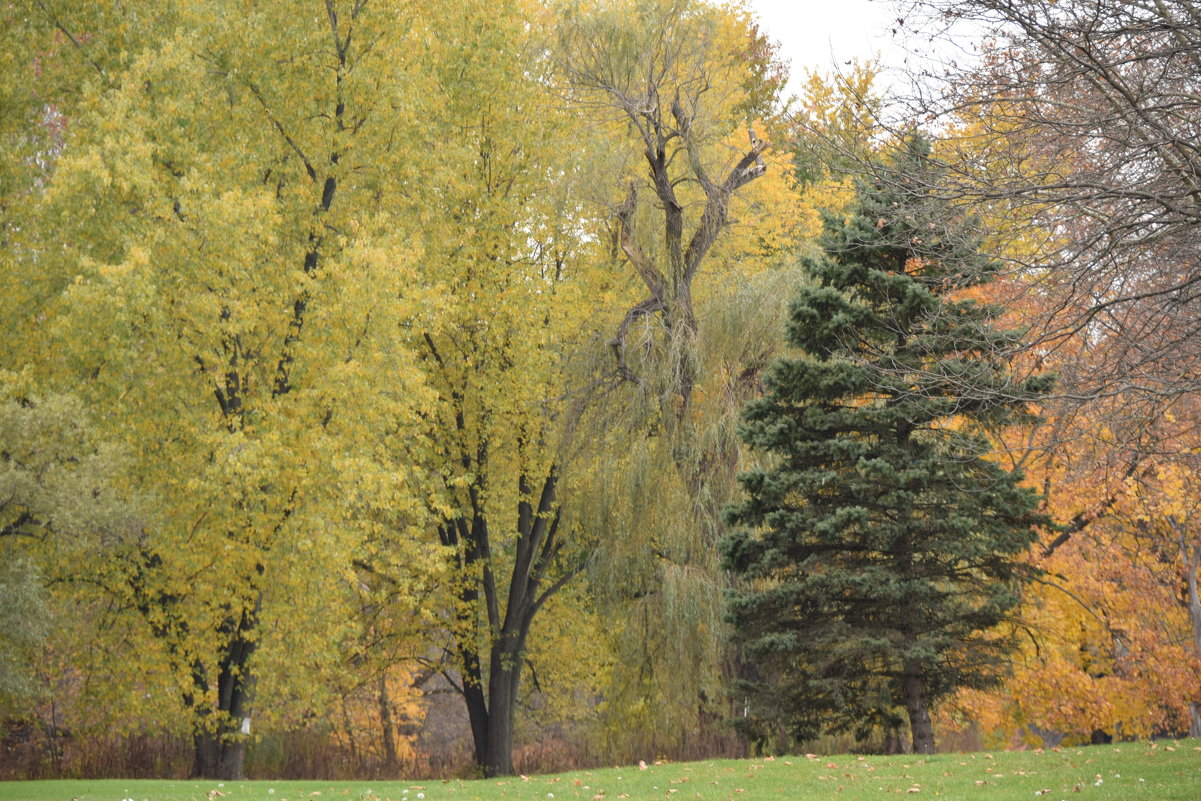 Осень в Пенсилвании - Yevgeniya Lucky