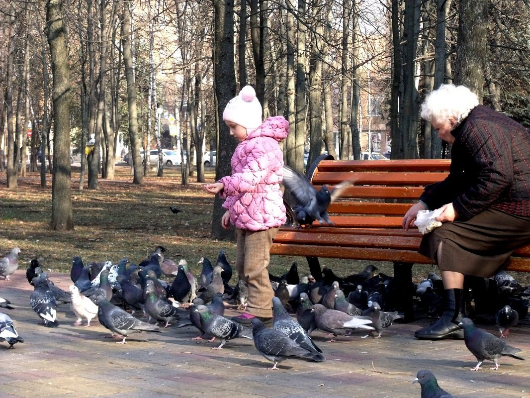 В парке - Анатолий Бугаев