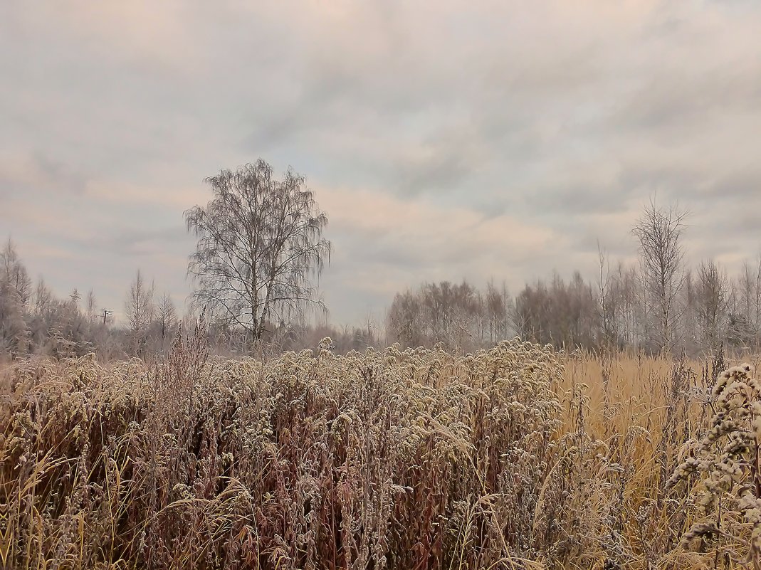 *** - Александр Теленков