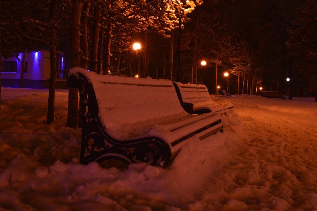 зимний сквер - Виталий Макаров