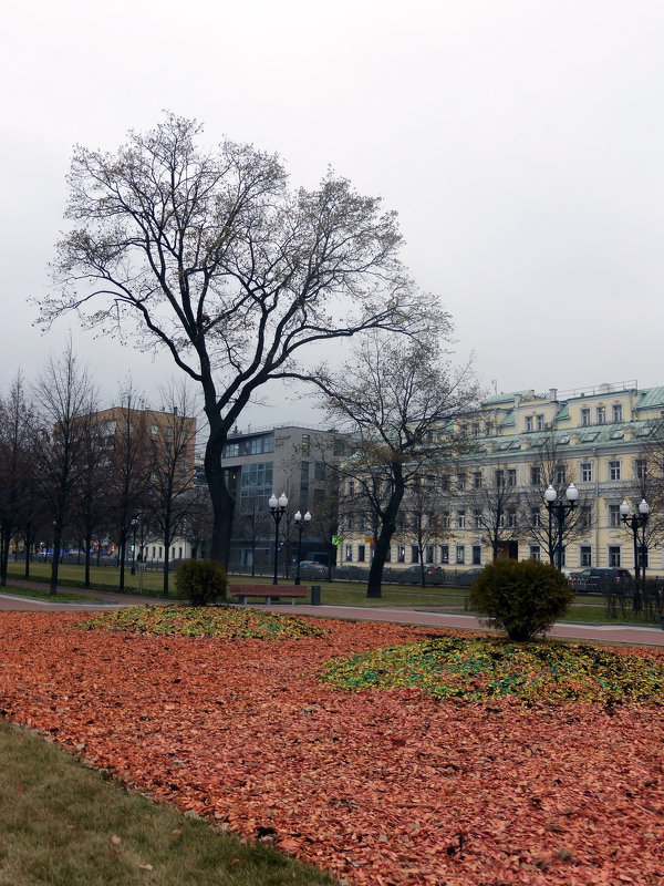 На Цветном бульваре - Лариса Корженевская