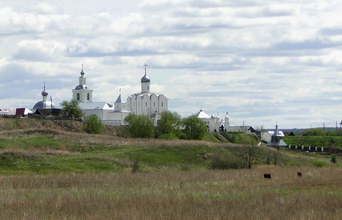 Храмовый комплекс в Арском - Елена Шемякина