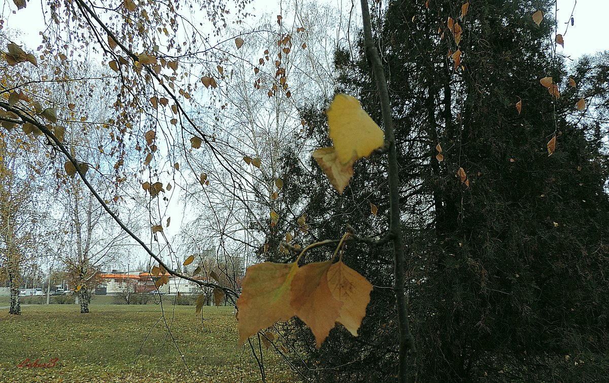 Осень в городе - Любовь 