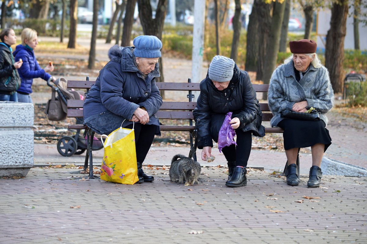Время кошкам обедать - Игорь Попов