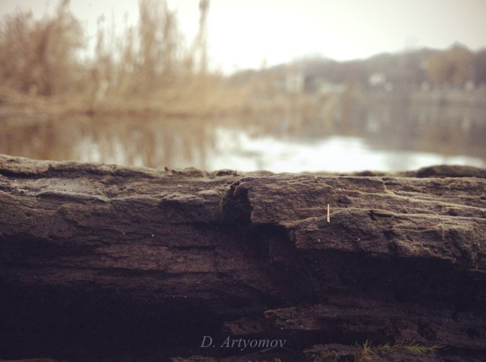 The lake - Дмитрий Артемов