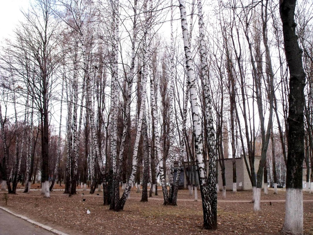 Осенний парк - Анатолий Бугаев