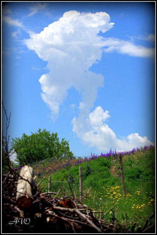 *** - AVETIS GHAZANCHYAN