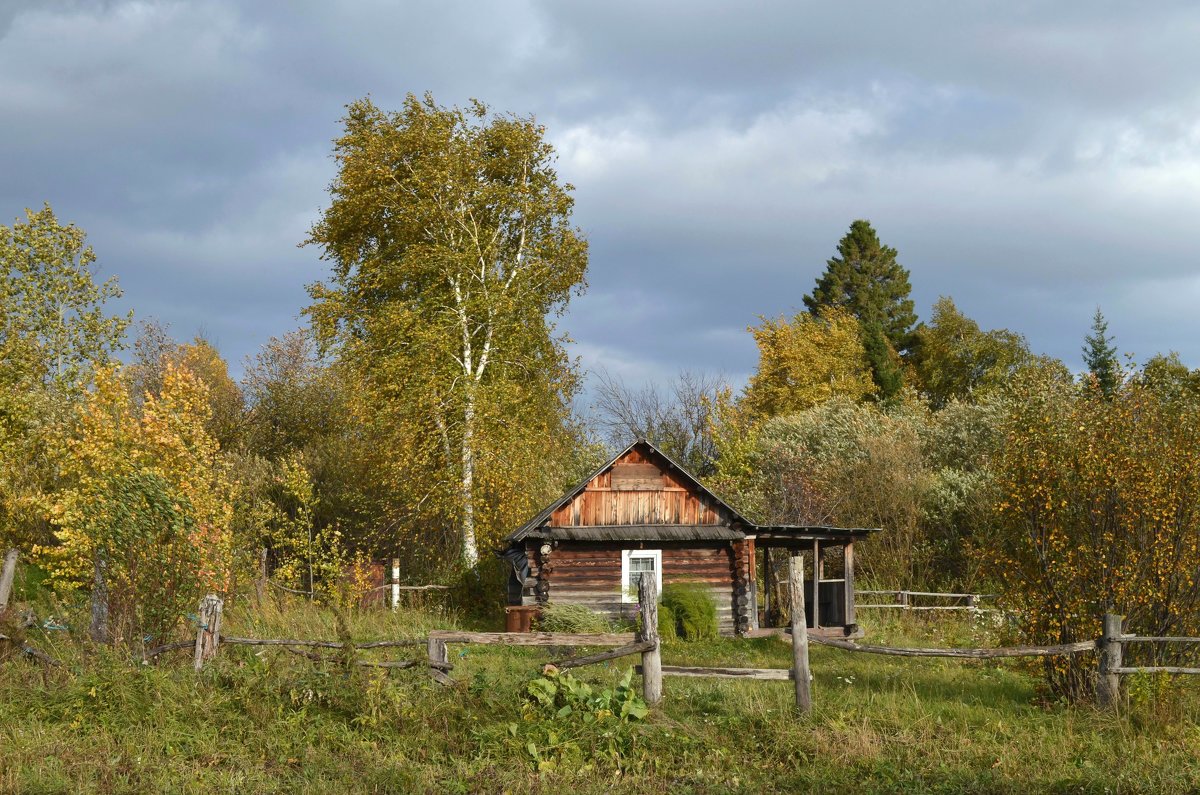 Домик в лесу - Вера Андреева