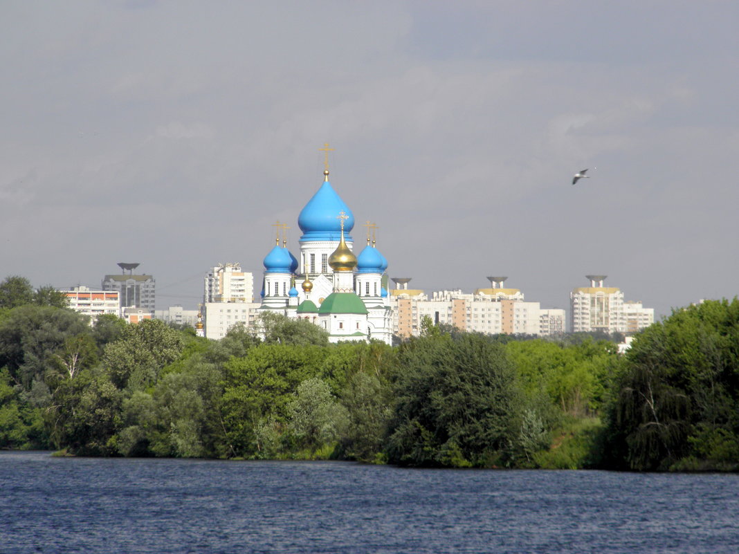 Храм  святителя Спиридона Тримифунтского в Москве. - Елена 