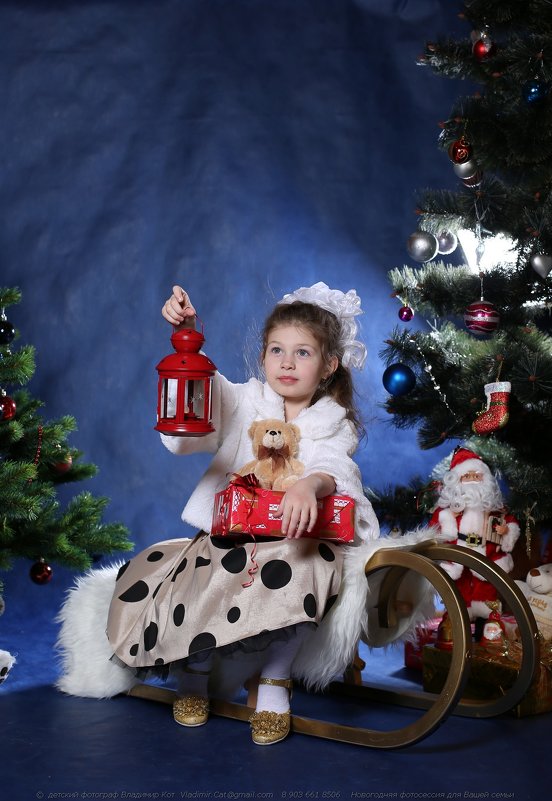 Новогодняя Сказка... - Детский и семейный фотограф Владимир Кот