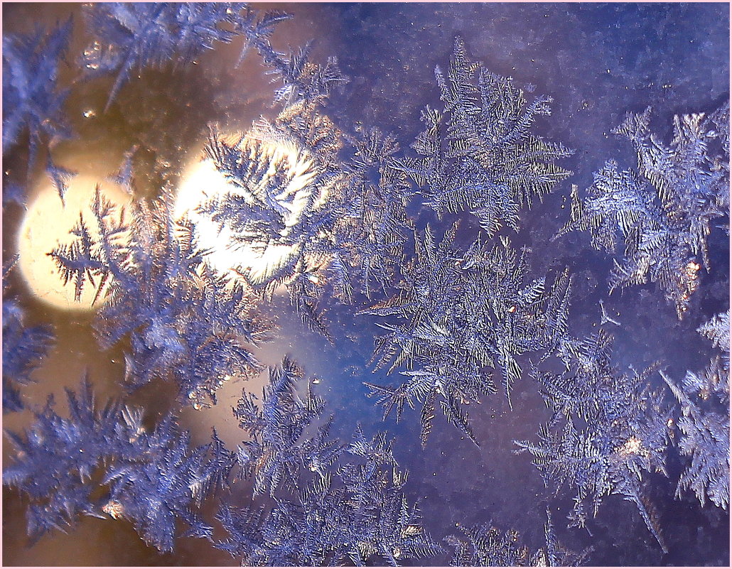 Взгляд зимы - Татьяна Ломтева