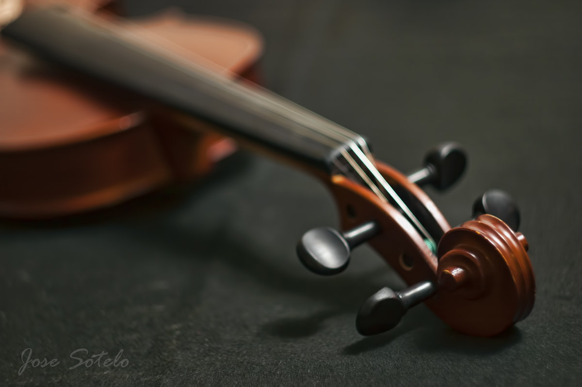 Violin - JSotelo 