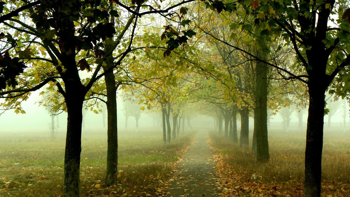 Осень туманная - Oleg Ustinov
