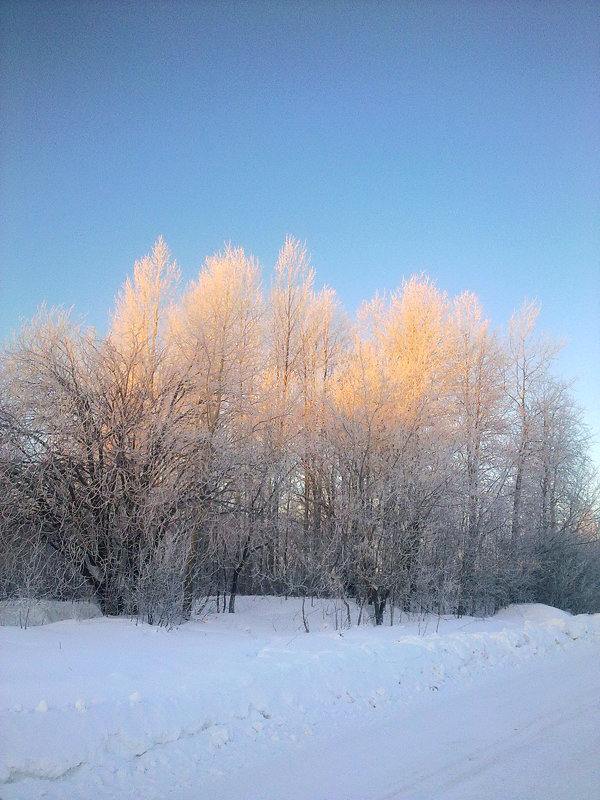 Морозное утро - Екатерина Баннова