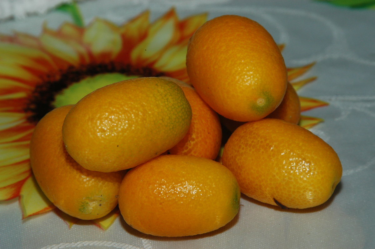 Китайские апельсины - JW_overseer JW