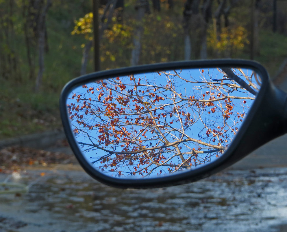Осень в зеркале - Наталья (D.Nat@lia)