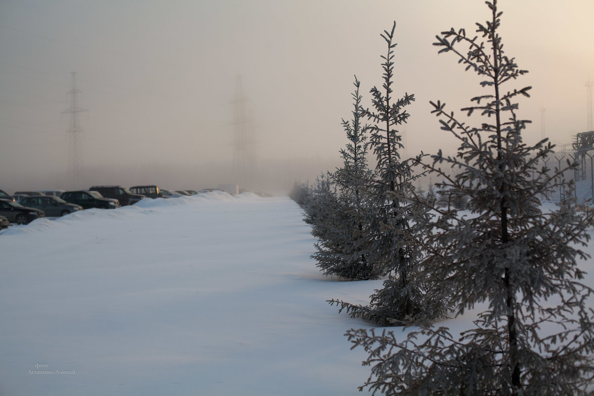 Морозный туман - Алексей Астапенко
