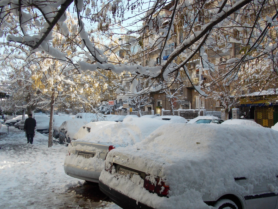 Зима в Дамаске - Наталья Каресли