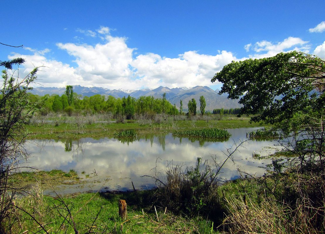 Kyrgyzstan - Schbrukunow Gennadi